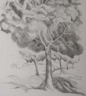 Bäume, Symbol des Lebens Bäume, Bleistiftzeichnung, dunkel wirkend